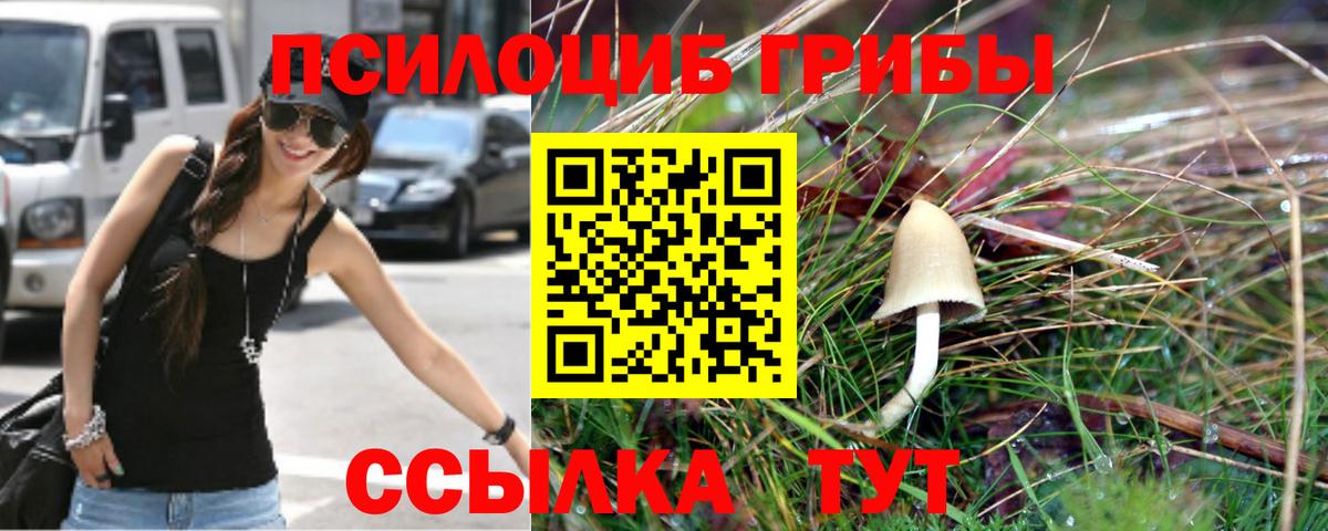 Псилоцибиновые грибы Cubensis Домодедово